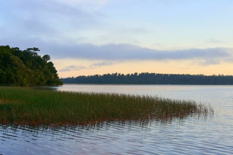 A calm lake with reed shores and a peaceful morning sky, Lake Mahinapua, Ruatapu, South Island, New