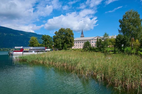 Lakeshore, reed, sky, clouds, summer, Ossiach Abbey, Ossiach, Lake Ossiach, Carinthia, Austria