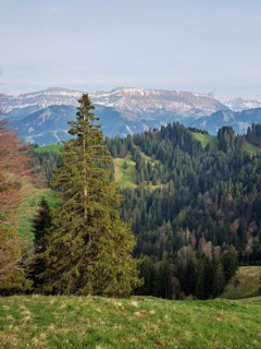 View from the Rämisgummen to the Schrattenfluh, Emmental, Canton Bern, Switzerland
