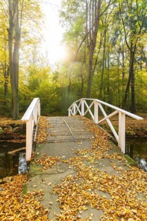 Bridge over the castle moat in autumn, park of Hermsdorf Castle, Ottendorf-Ockrilla, Saxony,