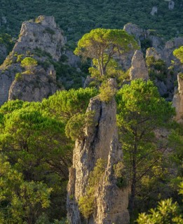 View of rocks and trees in the evening light from the Belvedere, Mourèze, Département Hérault,