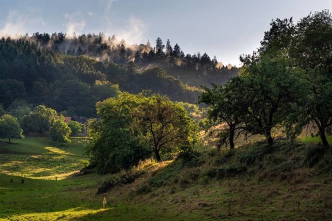 Landscape in the Odenwald with trees, meadows, forest and hills. Sunshine after rain. In the