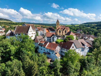 Aerial view of flower field, district of the southern Baden town of Tengen with flower field Castle