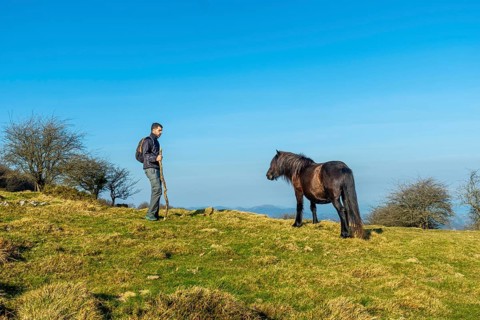 Horse on the top of Mount Ernio or Hernio in Gipuzkoa, Basque Country