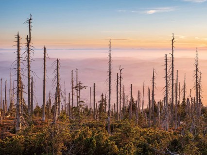 View from the Bavarian Plöckenstein on the border to the Czech Republic to the Alps, fog in the