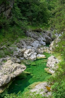 Emerald green river Pozze Smeraldine, Tramonti di Sopra, Province of Pordenone, Italy