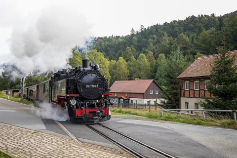 Zittau narrow-gauge railway between Teufelsmühle and the spa town of Oybin with steam locomotive