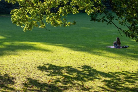 Person sitting on a blanket, sunlit meadow under oak trees, Frederiksberg Park, Copenhagen, Denmark
