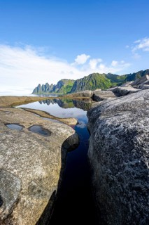 Plants and reflection in the tidal pool, rocky coast of Tungeneset, Devil's Teeth, Okshornan,