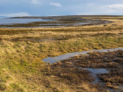 Arctic Ocean shoreline, beside Lanbunes, May, Varanger Fjord, Norway