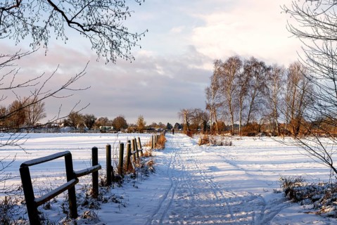 Winter landscape, fields and fields in Berlin Lübars, a village in Berlin Reinickendorf, Germany