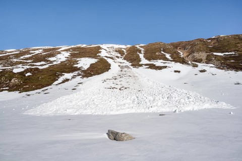 Snow avalanche on a steep grassy slope, spring situation, Graubünden, Switzerland