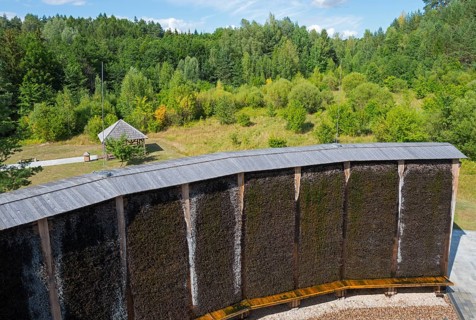 Curved wooden wall in front of a forest with lively green foliage under a blue sky, brine,