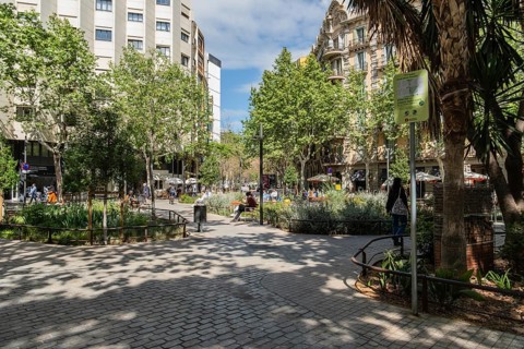 The Eixample superblock, car-free and pedestrianised area in the centre of Barcelona, Spain