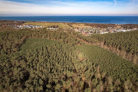 Forest area Rostocker Heide, Graal-Müritz and the Baltic Sea seen from the air, Graal-Müritz,