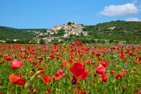 Village on a hill with green meadows and trees under a blue sky, in the foreground poppy field