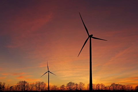 Sunset, wind turbines, trees, silhouettes, Melbeck, Samtgemeinde Ilmenau, Lower Saxony, Germany