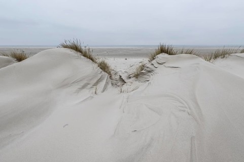 Dune landscape, Amrum, Schleswig-Holstein, Germany