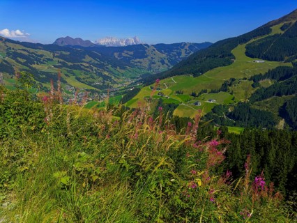 Tyrolean mountains near Saalbach-Hinterglemm, behind Leonganger Steinberge, highest peak Birnhorn