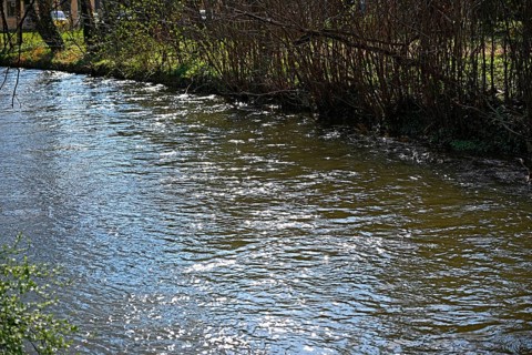 Schwabinger Bach, English Garden, Munich, Bavaria, Germany