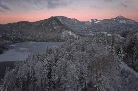 Pike lake, winter, icy, snow-covered trees, reddish coloured sky, morning mood, Mangfallgebirge