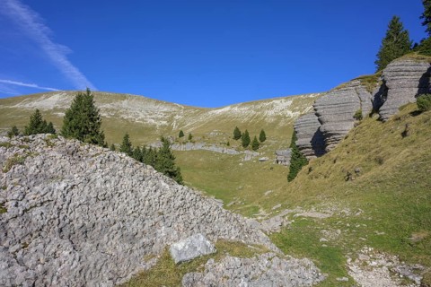 Surface karst rock formations, circular hike Monte Fior, Foza, province of Vicenza, Italy