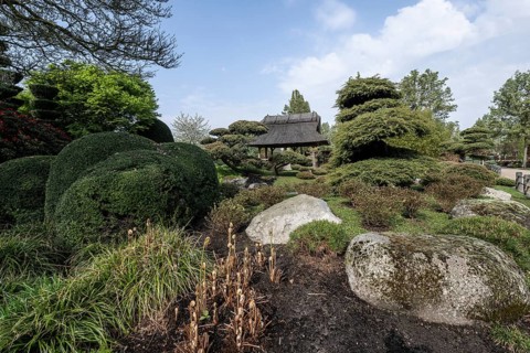 Japanese Garden, Park of Gardens, Bad Zwischenahn, Lower Saxony, Germany