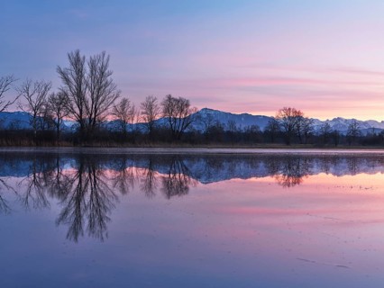 Rigi reflected in the flooded nature reserve in the evening light, Reussspitz, Hünenberg, Canton