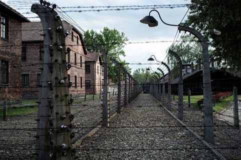 Barbed wire fence in a German concentration camp from World War II
