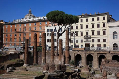 Largo di Torre Argentina, a square in the Pigna neighbourhood of Rome on the ancient Campus