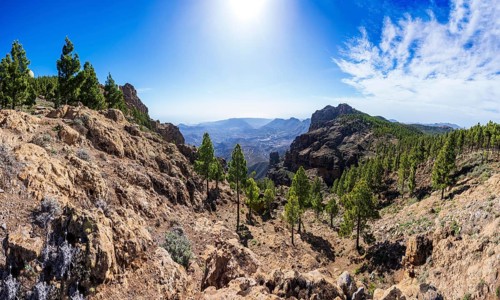 View into the valley of the Caldera de Tirajana, pine forest around the summit of El Campanario,