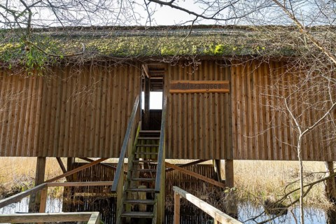 Observation stand on the shore of Lake Rederangsee, Müritz National Park, Mecklenburg Lake