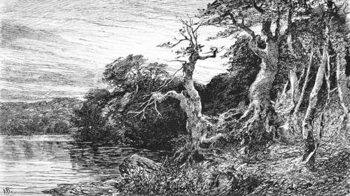 Lake Hertha near Sassnitz on Rügen, Baltic Sea, Mecklenburg-Western Pomerania, Germany, forest