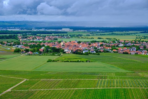 Terroir f, viewpoint in the vineyards on the Schwanberg near Rödelsee, Steigerwald nature park