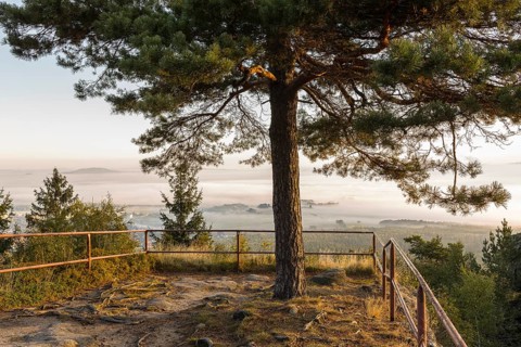 Viewpoint on the summit of the Töpfer with a view of Olbersdorf, Zittau and the Upper Lusatian