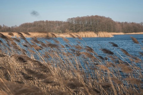 Pond Sunny in Milicz, Poland. Intentional blurred