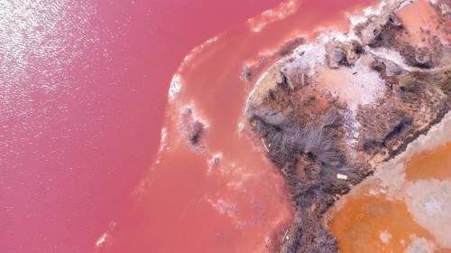 Aerial drone view of the pink salt lake in torrevieja, spain, reflecting sunlight at sunset, with