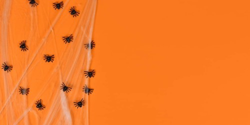 Halloween banner with spider webs and plastic spiders on side of orange background with copy space