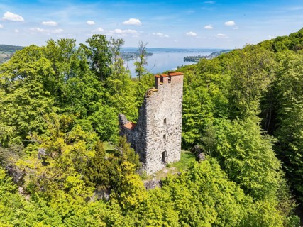 Aerial view of the Neuburg ruins, historical sight above Lake Constance, Untersee, Lake Rhine,