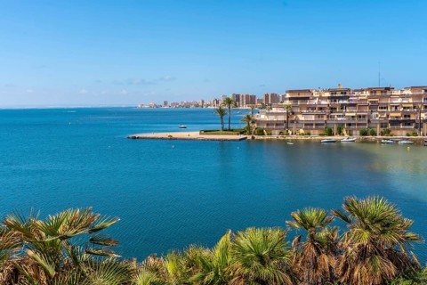 Captivating cityscape of la manga during summer, featuring a serene blue sea, swaying palm trees,