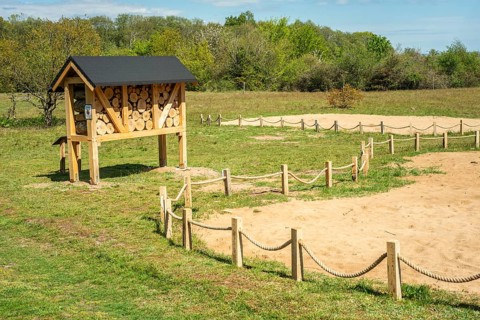 Insect asylum, insect box, insect hotel, bee house, an artificial help for nesting and