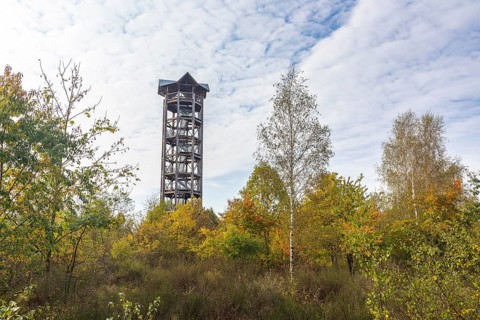 Haselberg tower in the Königsbrücker Heide, Saxony, Germany