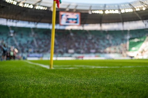 Grass on the football pitch at the stadium