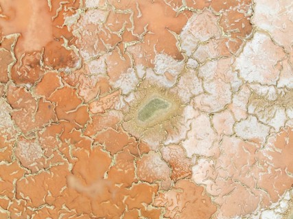 Salt marsh at the Skeleton Coast. Aerial view. Drone shot. Dorob National Park, Namibia