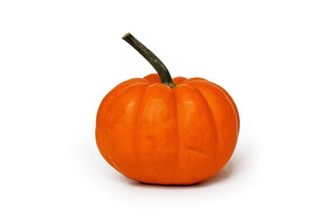 Bright orange Jack be Little pumpkin on white background