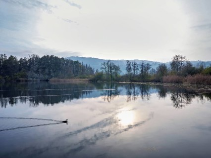 Evening atmosphere at Lake Hallwil, Seengen, Canton Aargau, Switzerland