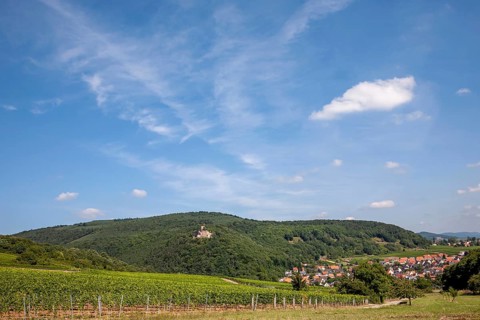 View of Klingenmünster, Landeck Castle on the left in the Palatinate Forest, Klingenmünster, German