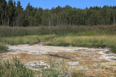 Mineralised water coming to the surface, deposits, formerly boiled down to salts in brewing huts,