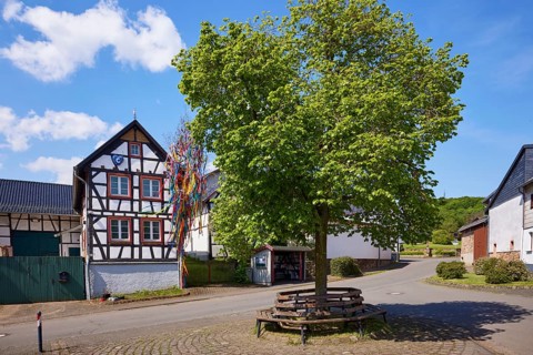 Half-timbered house and summer lime tree (Tilia platyphyllos) with benches and maypole in the Pesch