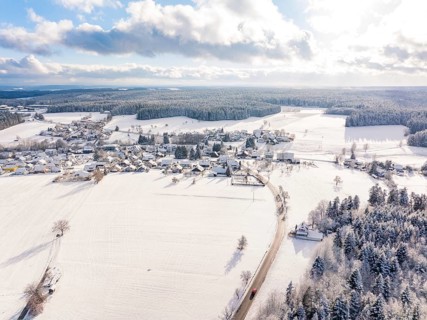 Village in a snowy winter landscape, fields and streets under a clear sky, quiet and bright